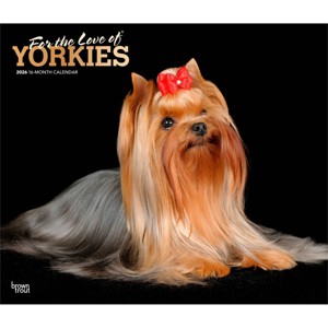 BrownTrout For the Love of Yorkshire Terriers 2026 14"x24" Hanging Deluxe Wall Calendar Plastic-Free - 1 of 4
