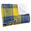 Fort Valley State University Campus Plaid Spirit Silky Touch Super Soft Throw Blanket 50x60 - 3 of 4