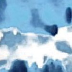 hibiscus floral black