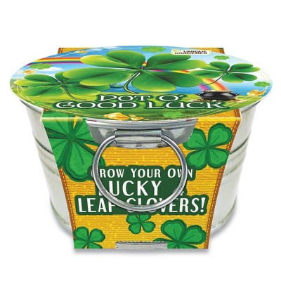 Collections Etc Grow Your Own Lucky 4 Leaf Clover Plant Kit with Metal Pot