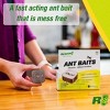 RESCUE! Ant Baits � Indoor Ant Killer, Ant Trap Alternative - 6 Bait Stations - 4 of 4