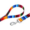 Country Brook Petz 6 Foot Dog Leash - Country and Western Collection - 3 of 4