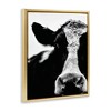Stupell Industries Cow Face Portrait Floating Frame Canvas Art, Gold, 17" x 21" - 2 of 4