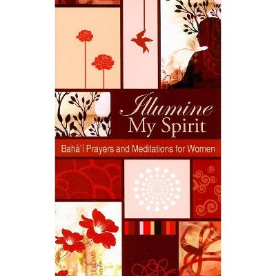 Illumine My Spirit - (Paperback)