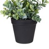 Northlight 10" Green Artificial Melia Azedarach Plant in Black Pot - 3 of 4