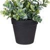 Northlight 10" Green Artificial Melia Azedarach Plant in Black Pot - image 3 of 4