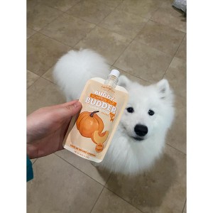 3 Pack Pumpkin Pup Squeeze Pack Buddy Budder (4oz) - 1 of 4
