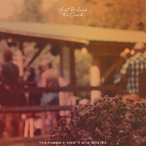 Various - Just Behind the Creek: Field Recording at Kickin' It on the Creek 2019 (Vinyl) - 1 of 1