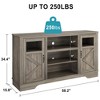 Farmhouse TV Stand with LED Lights, Entertainment Center for 65/60/55 Inches Televisions - 2 of 4