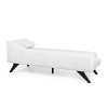 Cagle Mid Century Modern Fabric Chaise Lounge - Christopher Knight Home - 3 of 4