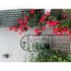 Metal Garden Trellis, 2 Pack Metal Trellis for Climbing Plants, Indoor/Outdoor Plant Trellis for Potted Plants, House Plants, Climbing Vines - 2 of 4