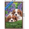 Trends International Keith Kimberlin - Cavalier King Charles Puppies Framed Wall Poster Prints - 3 of 4