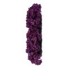 Vickerman 20" Real Touch Hydrangea Wreath - 4 of 4