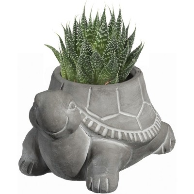 Small Gray Cement Turtle Indoor/Outdoor Planter with Drainage Hole