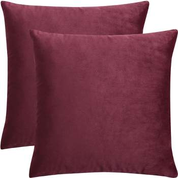 PiccoCasa Soft Velvet Throw Pillow Covers Solid Cushion Covers 2 Pcs