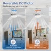 Airsurfer 42" Ceiling Fan with Color-Changing LED Light, 5 Plywood Blades, Remote Included, 5'' Down rod, DC Motor - 2 of 4