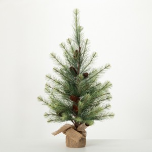 3' Sullivans Black Hills Pine Tree, Green - 1 of 3