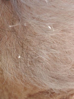 Guest review image 1 of 2, zoom in