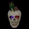 Northlight LED Lighted Succulent Halloween Skull Planter - 8.75" - 2 of 4