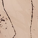 walnut brown