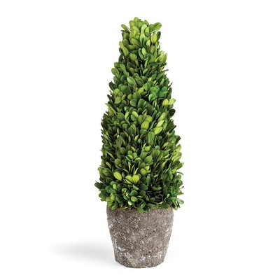 Plum & Post Boxwood Cone Topiary Drop-In 16"