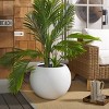 Kenslia Concrete Ficonstone Planter - Indoor/Outdoor - PAT1519 - Safavieh - 2 of 4