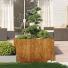 vidaXL Planter Rusty Weathering steel Large Decorative Inlays - 3 of 4