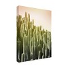 "Pink Sky Cactus" Outdoor Canvas - 2 of 4