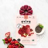 Evive Smoothie Cubes - Saphir Stong's Market