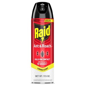 Raid Ant and Roach Killer Bug Spray - Lemon Scent - 17.5oz - 1 of 4