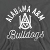 Alabama A&M University Official Bulldogs Adult Pull-Over Hoodie - 2 of 4