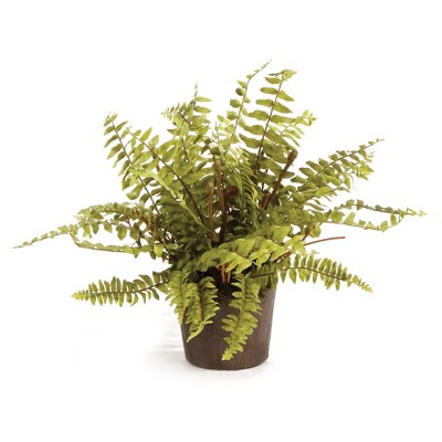 Plum & Post Boston Fern Drop-In 12"