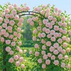Orieon Metal Garden Arbor Arch Trellis – 47"x15.7"x86.6" Heavy-Duty Iron Arch for Climbing Plants & Outdoor Decor - 4 of 4