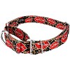 Country Brook Petz Martingale Dog Collar - Affection Collection - 2 of 4