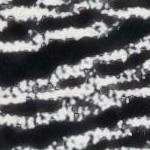 ivory/black