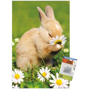 Trends International Avanti - Bunny Smelling Flower Unframed Wall Poster Prints