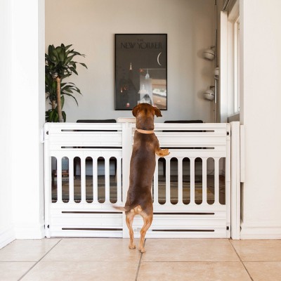 White Plastic Retractable Dog Gate with Pet Door, 25" H, 2 Pack