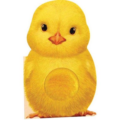 Furry Chick - (Mini Friends Touch & Feel Books) by Annie Auerbach (Board Book)