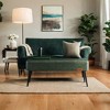 Bench for Entryway Bedroom, End of Bed Bench, Ottoman with Storage Synthetic Leather with Stitching Loads 660 lb - 4 of 4