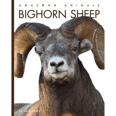 Bighorn Sheep - (Amazing Animals) by  Kate Riggs (Paperback)
