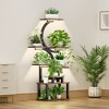 KTMBDW Plant Stand Indoor with Grow Lights - Plant Shelf Indoor with 5 Grow Lights, 10-Level Stepless Dimming, Plant Rack, Brown - 2 of 4