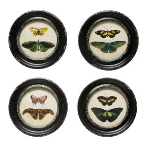 Storied Home (Set of 4) Moth and Butterfly Framed Wall Art Set - 1 of 3