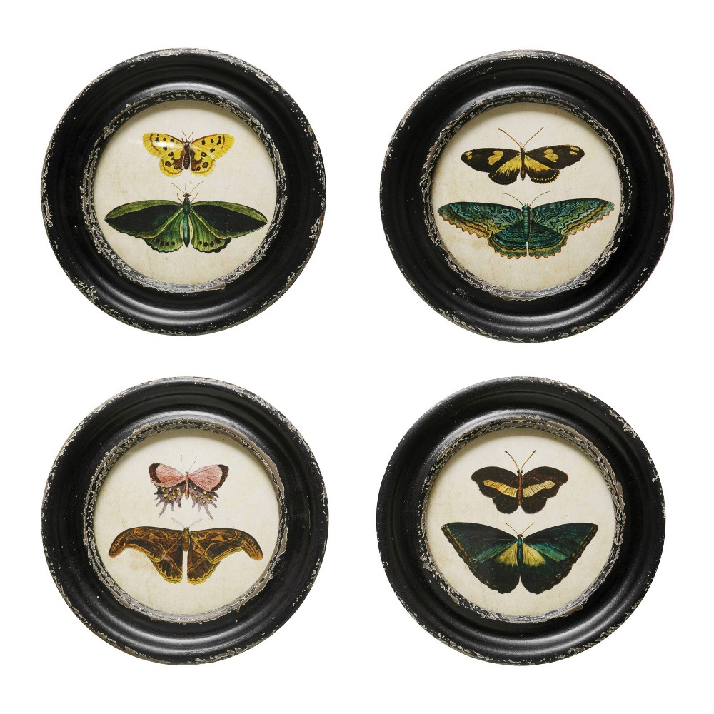 Photos - Wallpaper Storied Home  Moth and Butterfly Framed Wall Art Set(Set of 4)