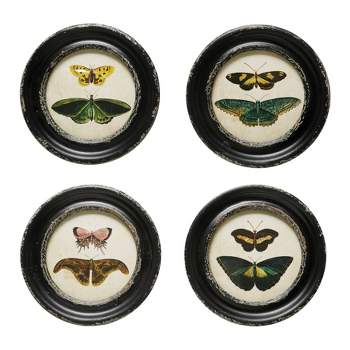 Storied Home (Set of 4) Moth and Butterfly Framed Wall Art Set