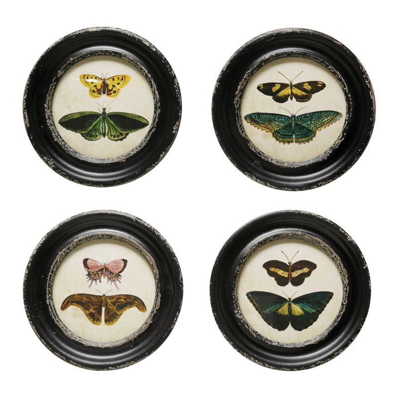 Storied Home (Set of 4) Moth and Butterfly Framed Wall Art Set, 1 of 3