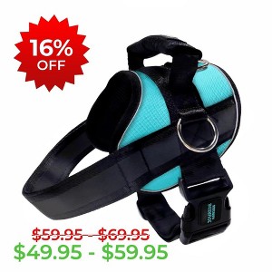 Joyride Harness Premium Advanced No Pull Dog Harness 2.0 Teal Ocean - 1 of 4