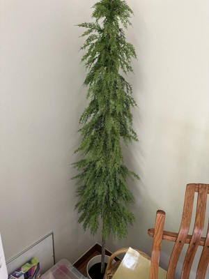 Guest review image 2 of 2, zoom in