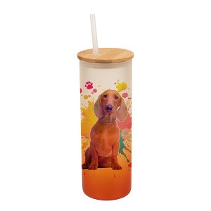 100 North 25 Ounce Frosted Glass Gradient Travel Tumbler With Straw & Wooden Lid, Dachshund Dog Paint Splatter Orange - 1 of 4