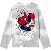 Spiderman Grey Cloud Washed Long SLeeve Tee - 3 of 4