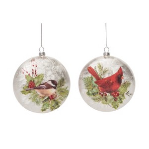 Transpac Glass 5.5 in. Multicolored Christmas Silky Bird Ornament Set of 2 - 1 of 2